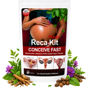 Conceive Fast